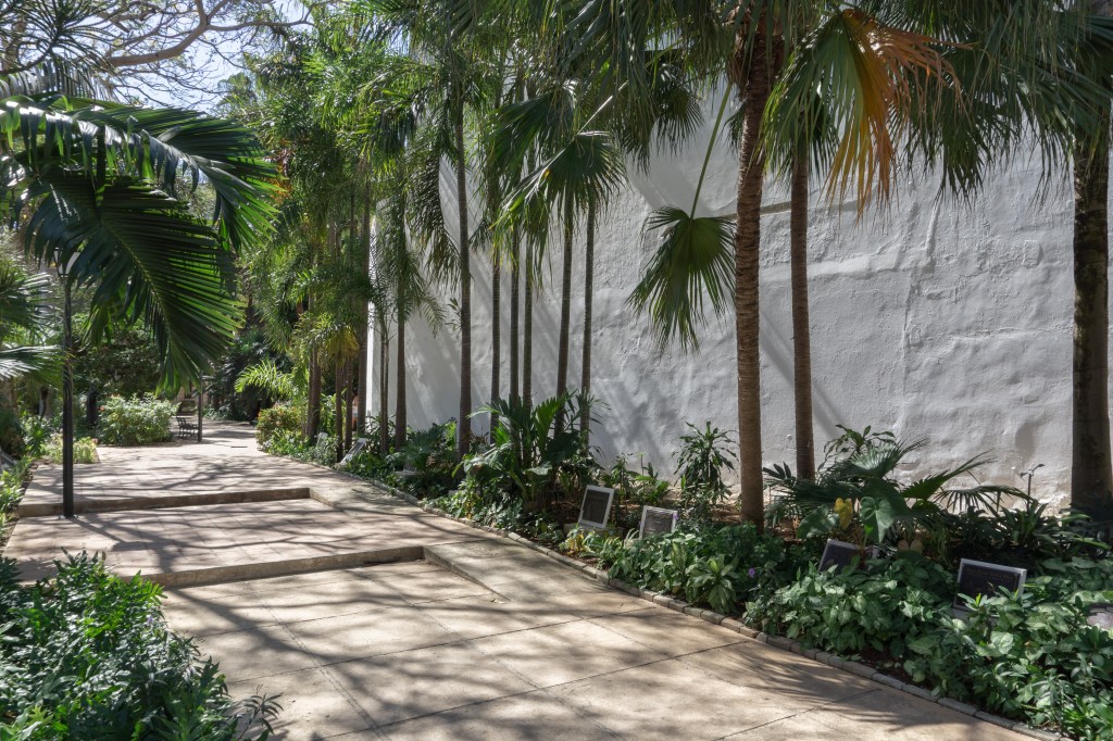 Umnutzung Franz von Assisi Basilika und Kloster zu Museum Garten