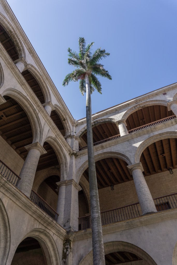 Umnutzung Franz von Assisi Basilika und Kloster zu Museum Palme im Innenhof